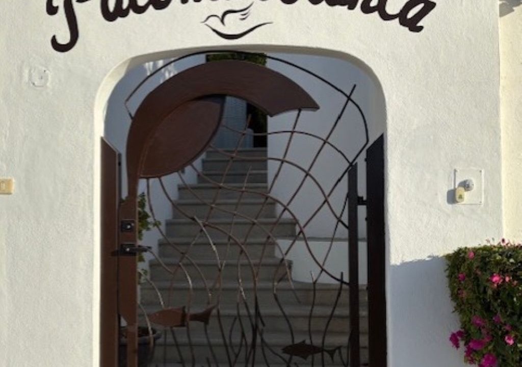 Photo of Others in San Jose del Cabo