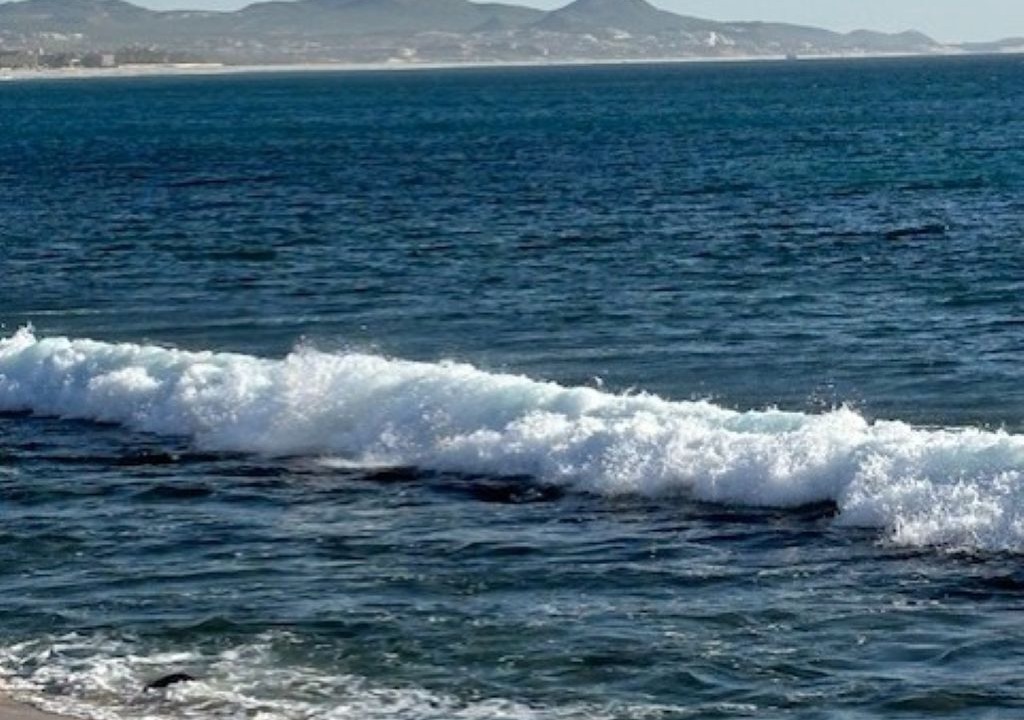 Photo of Others in San Jose del Cabo