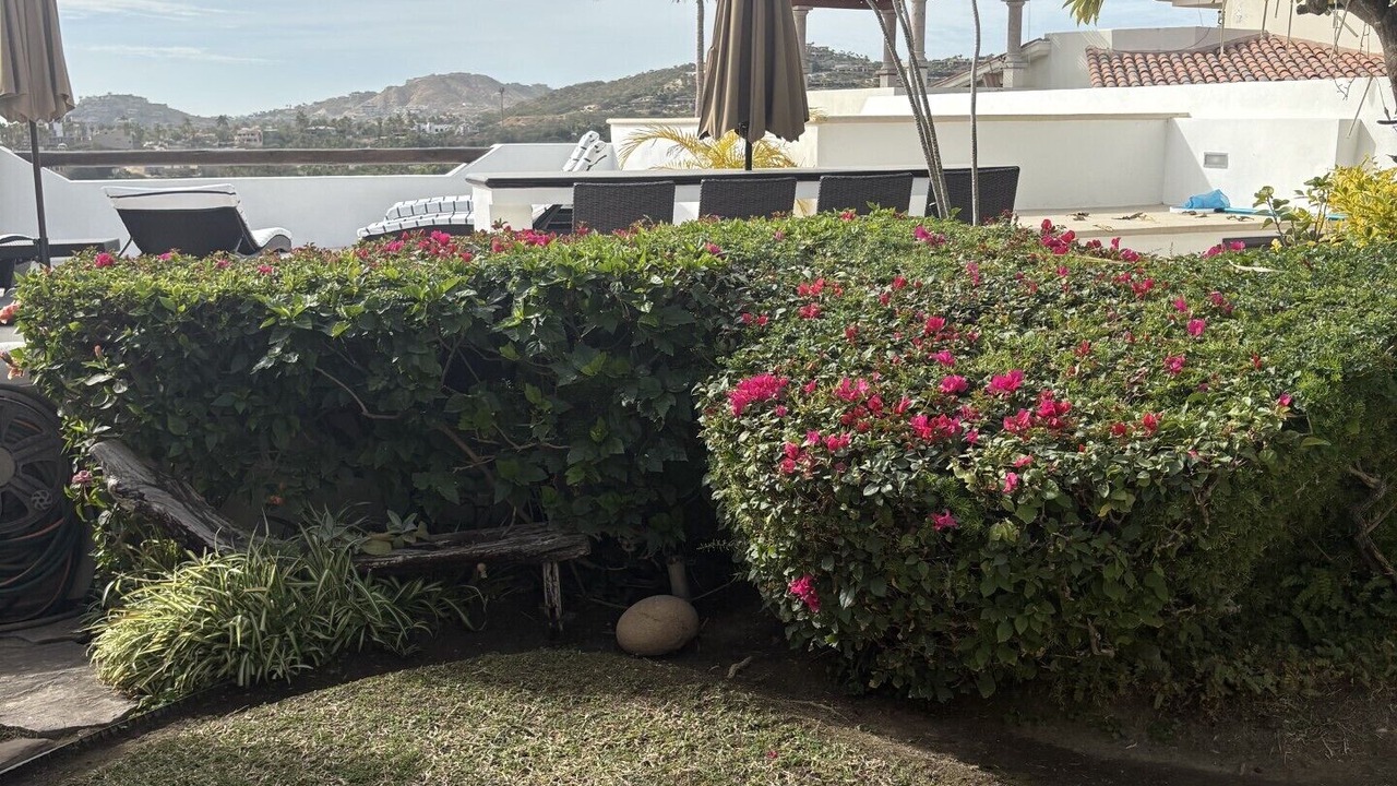Photo of Outdoor in San Jose del Cabo