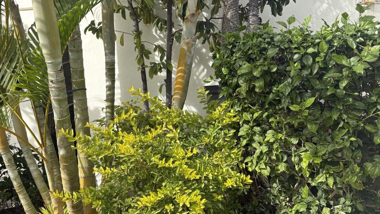 Photo of Outdoor in San Jose del Cabo