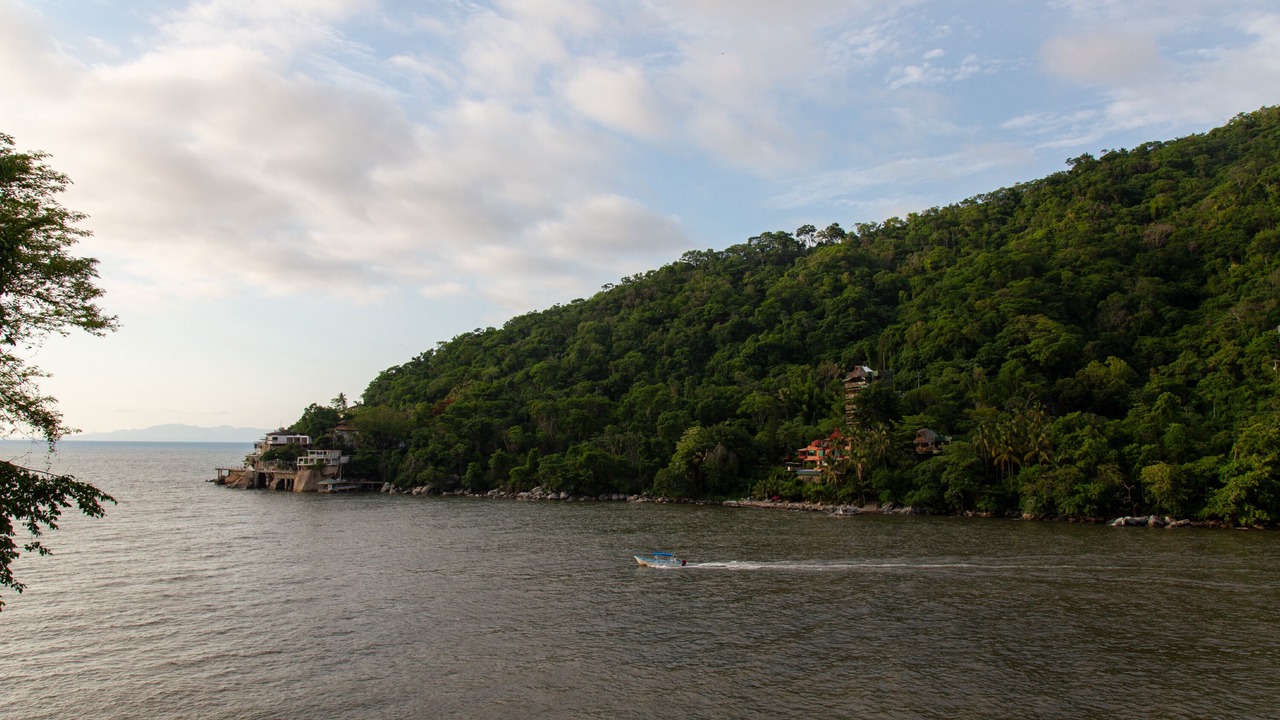 Photo of Others in Boca de Tomatlan