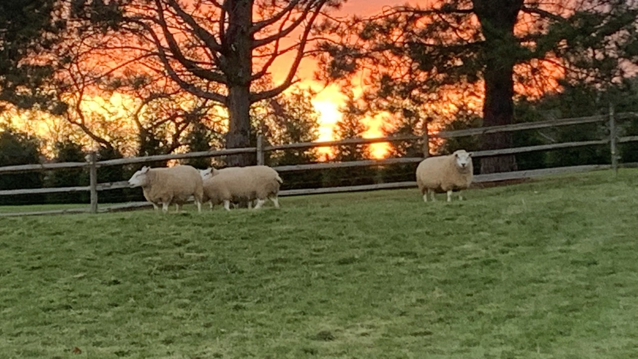 Photo of Outdoor in Ipswich