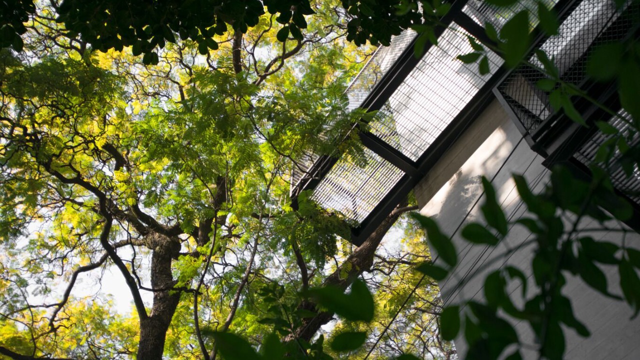 Photo of Outdoor in La Condesa