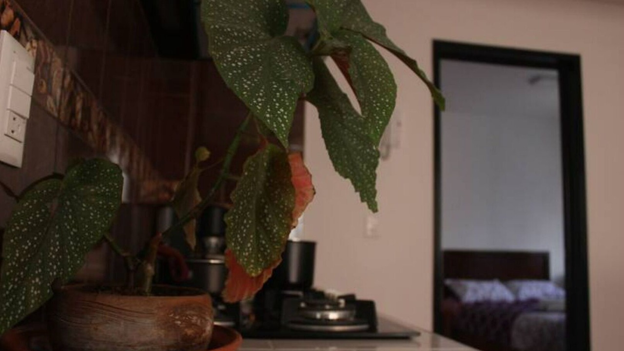 Photo of Others in Oaxaca
