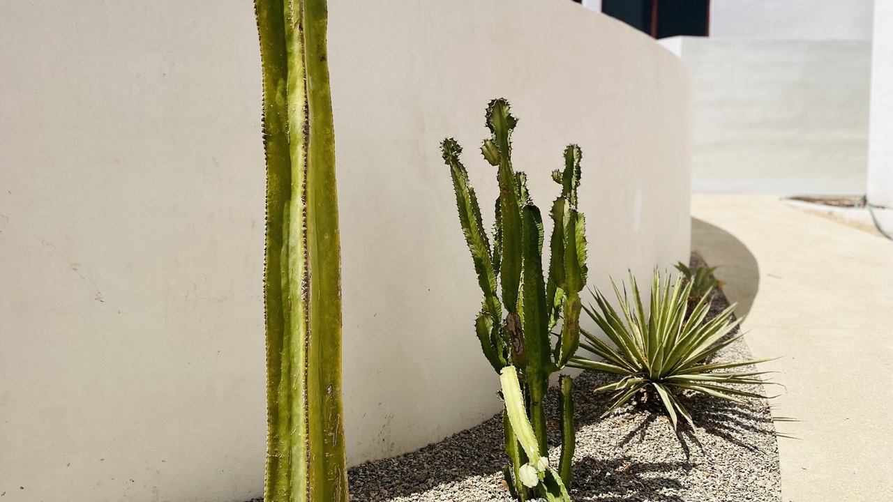 Photo of Outdoor in La Ribera
