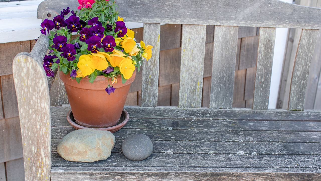 Photo of Outdoor in Downtown Cannon Beach