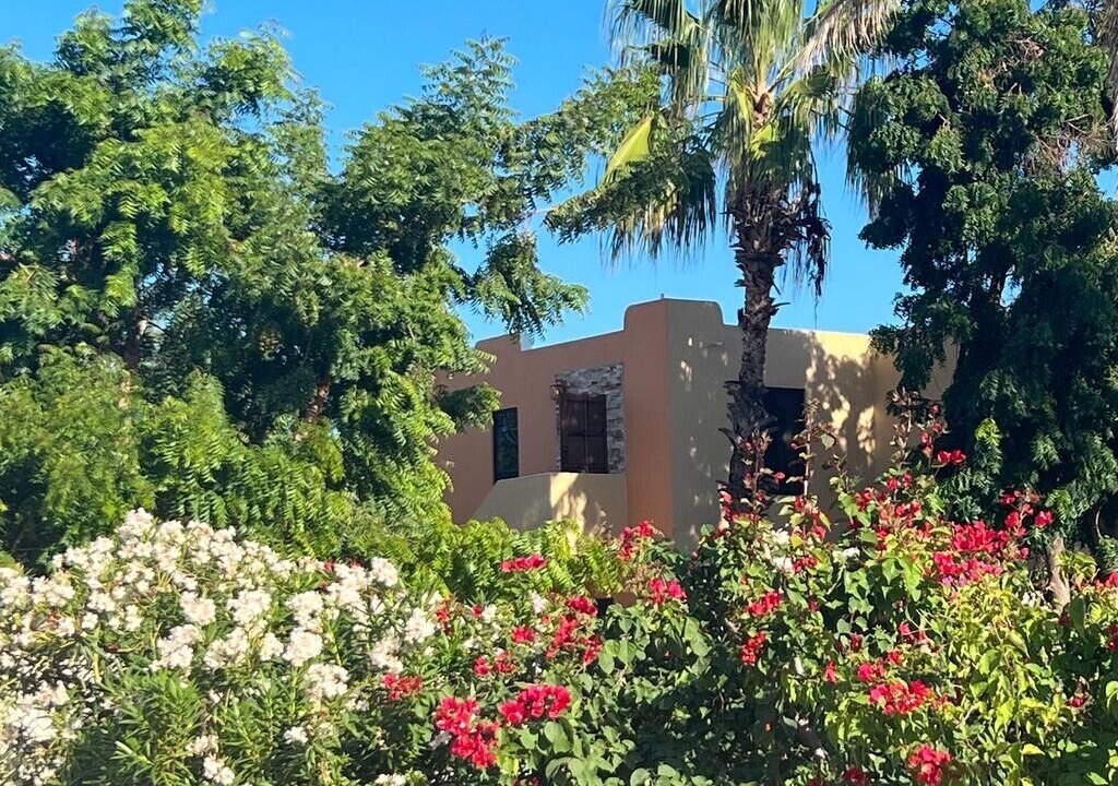 Photo of Outdoor in El Rosarito