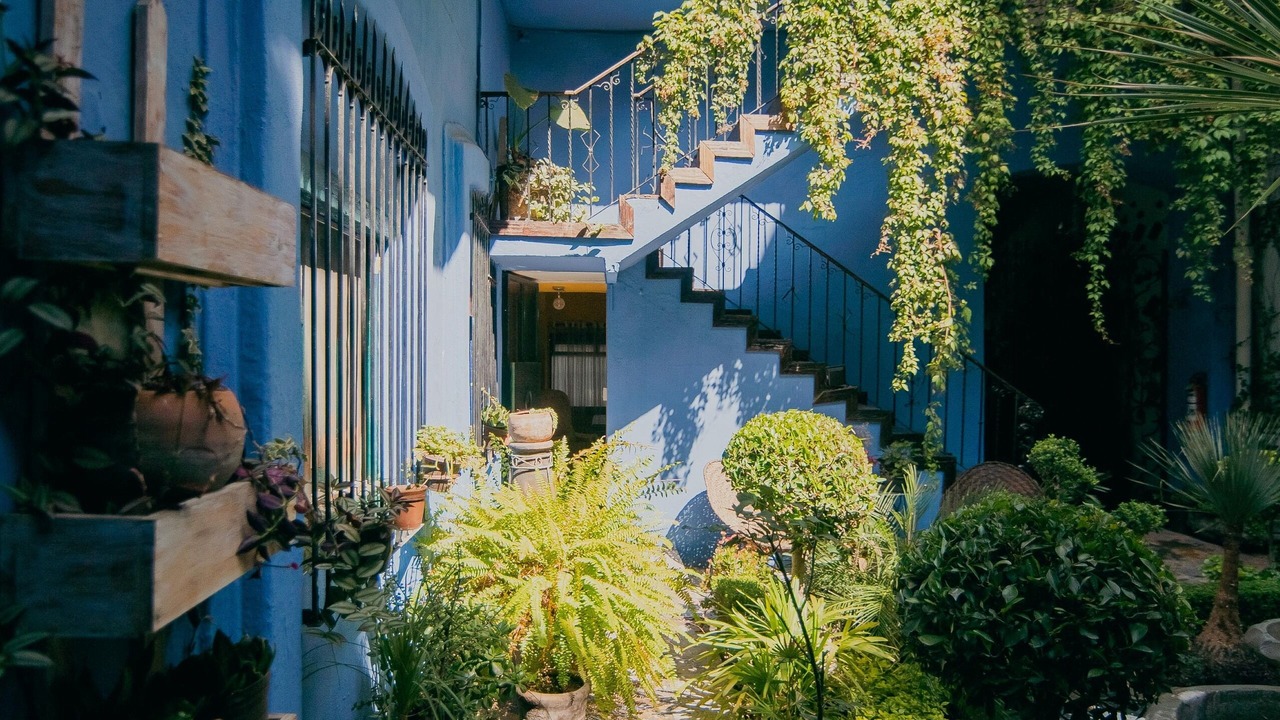 Photo of Outdoor in El Carmen