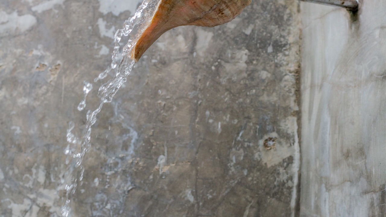 Photo of Bathroom in Jardines del Puerto