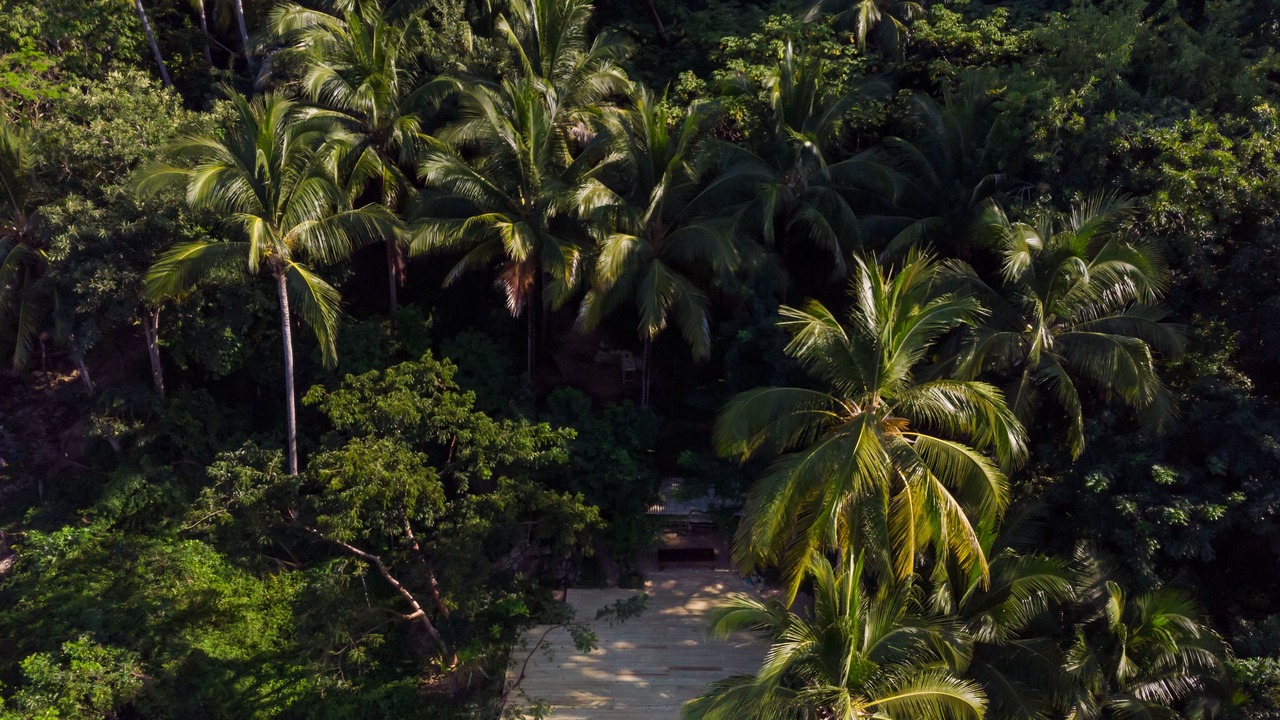 Photo of Outdoor in Jardines del Puerto