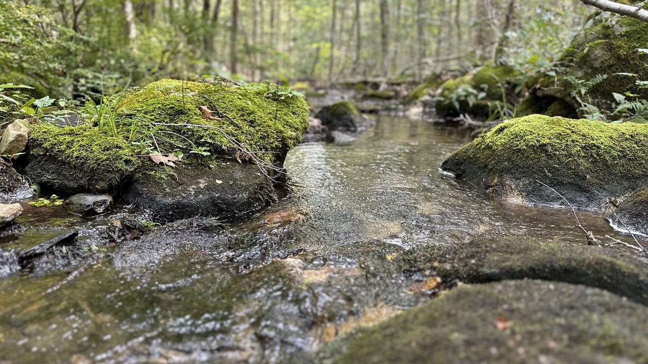 Photo of Outdoor in Bozrah