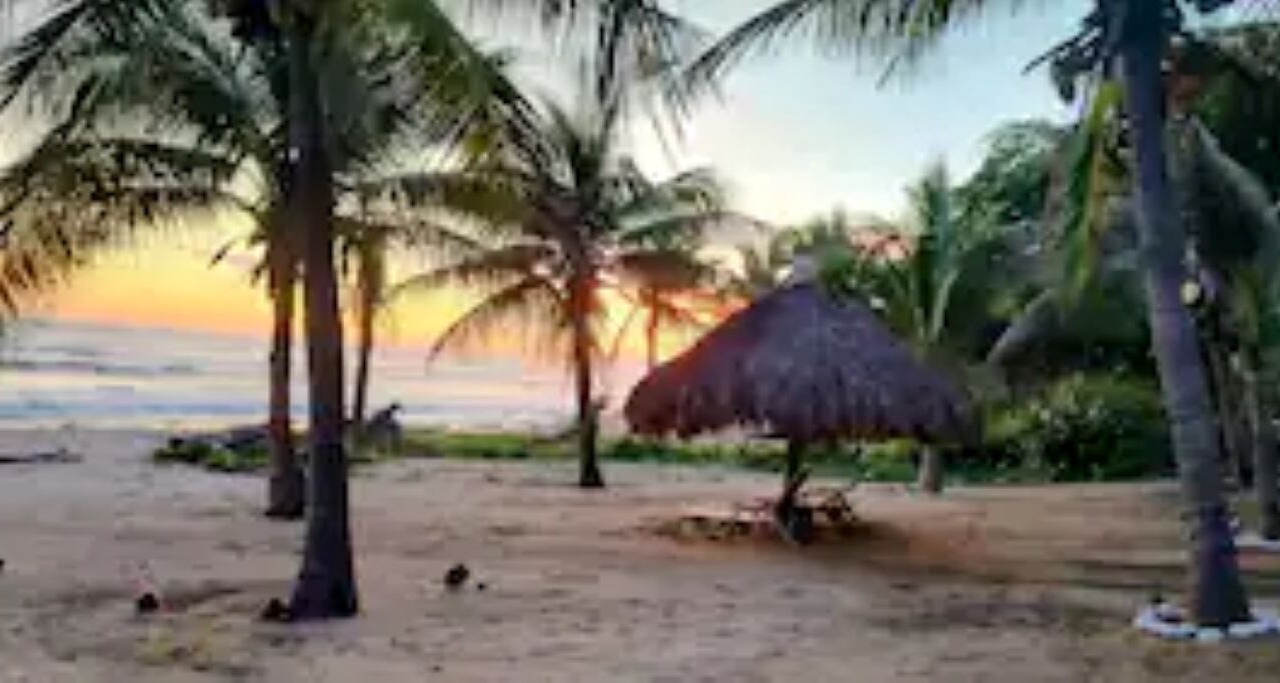 Photo of Others in Troncones
