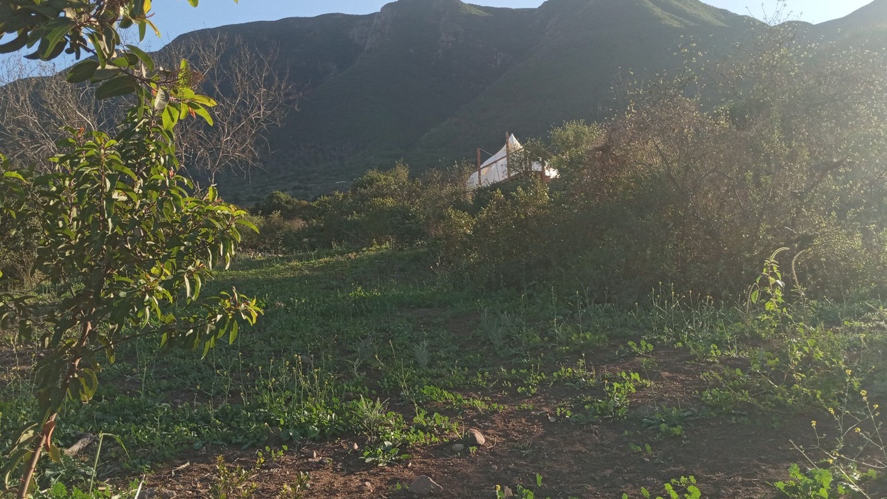 Photo of Others in Cabo Punta Banda