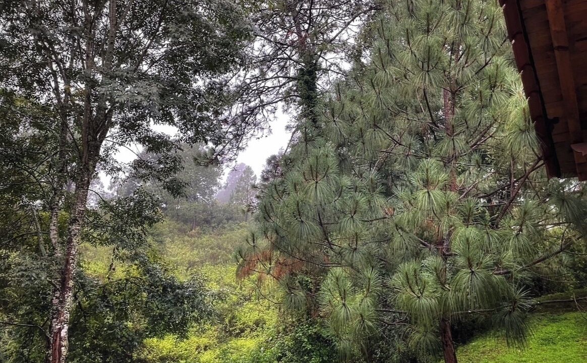 Photo of Outdoor in Mazamitla