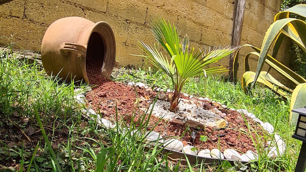 Photo of Outdoor in Zacatlan