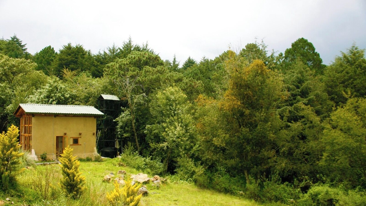 Photo of Outdoor in Tlalpan