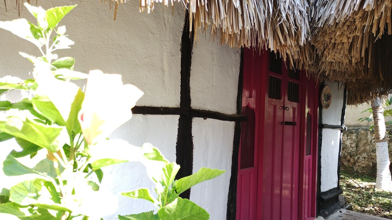 Photo of Outdoor in Izamal