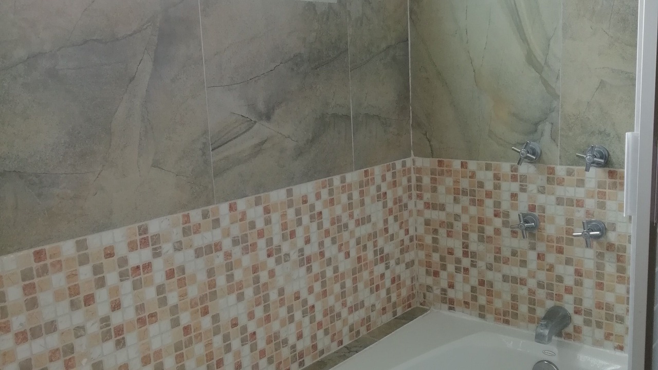 Photo of Bathroom in Ciudad Lopez Mateos