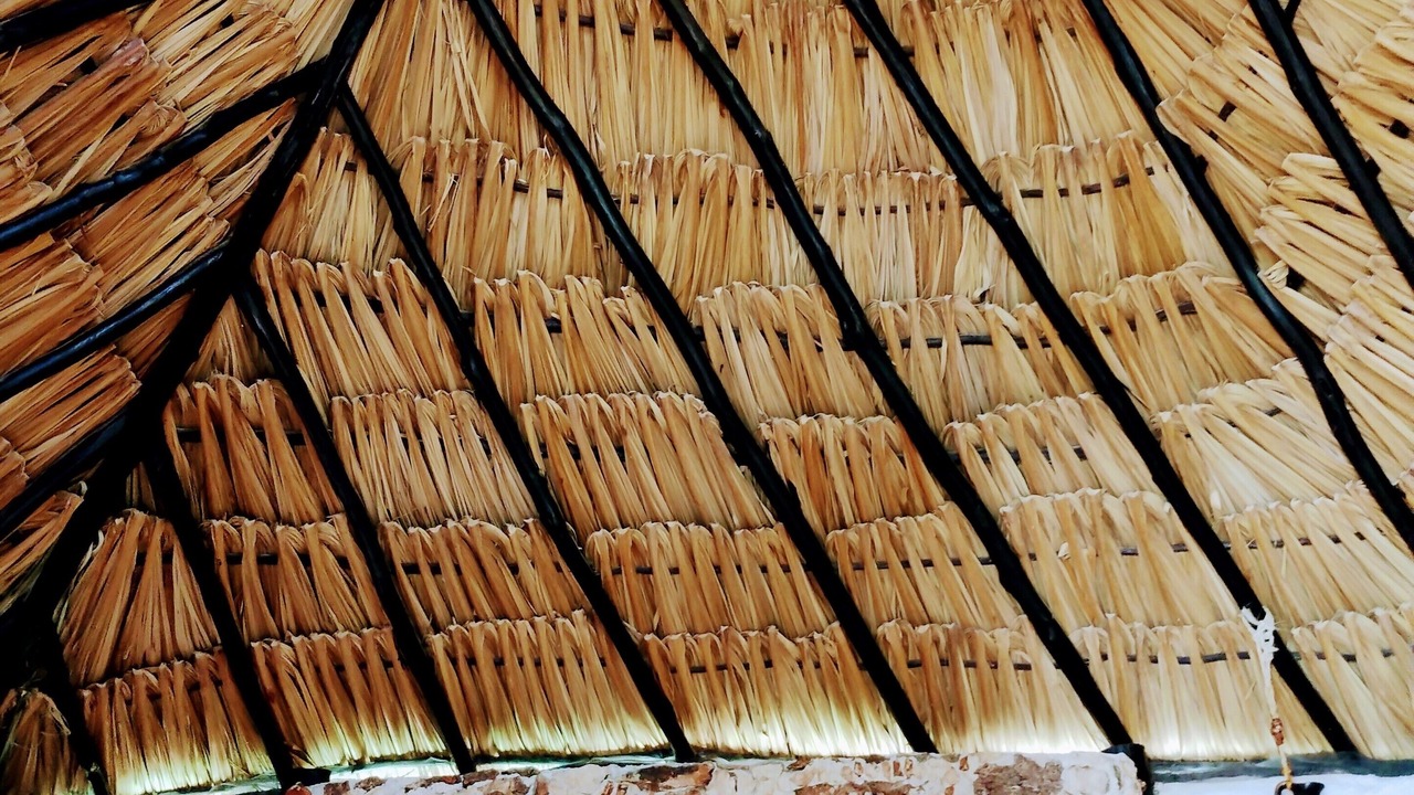 Photo of Others in Izamal