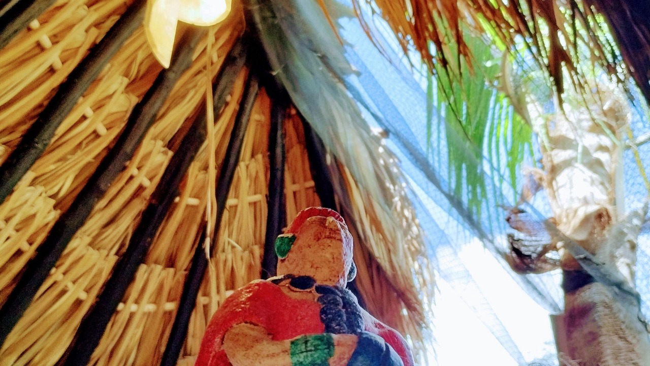 Photo of Others in Izamal