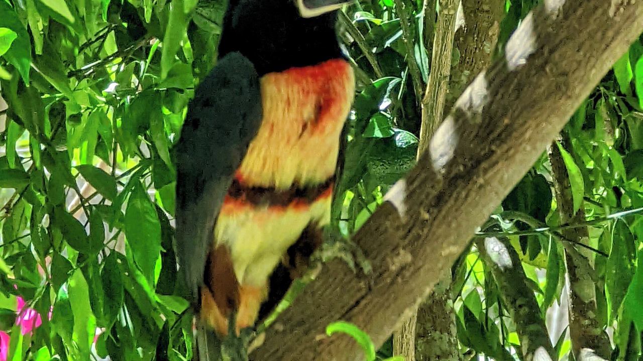 Photo of Others in Chichen Itza - Valladolid