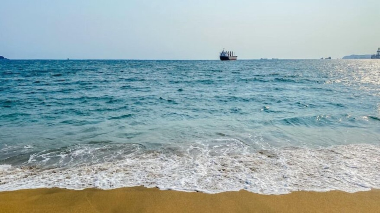 Photo of Others in Manzanillo