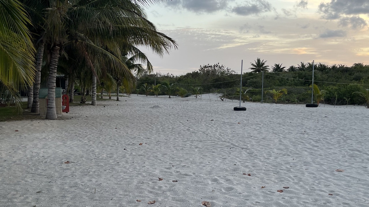 Photo of Others in Miramar