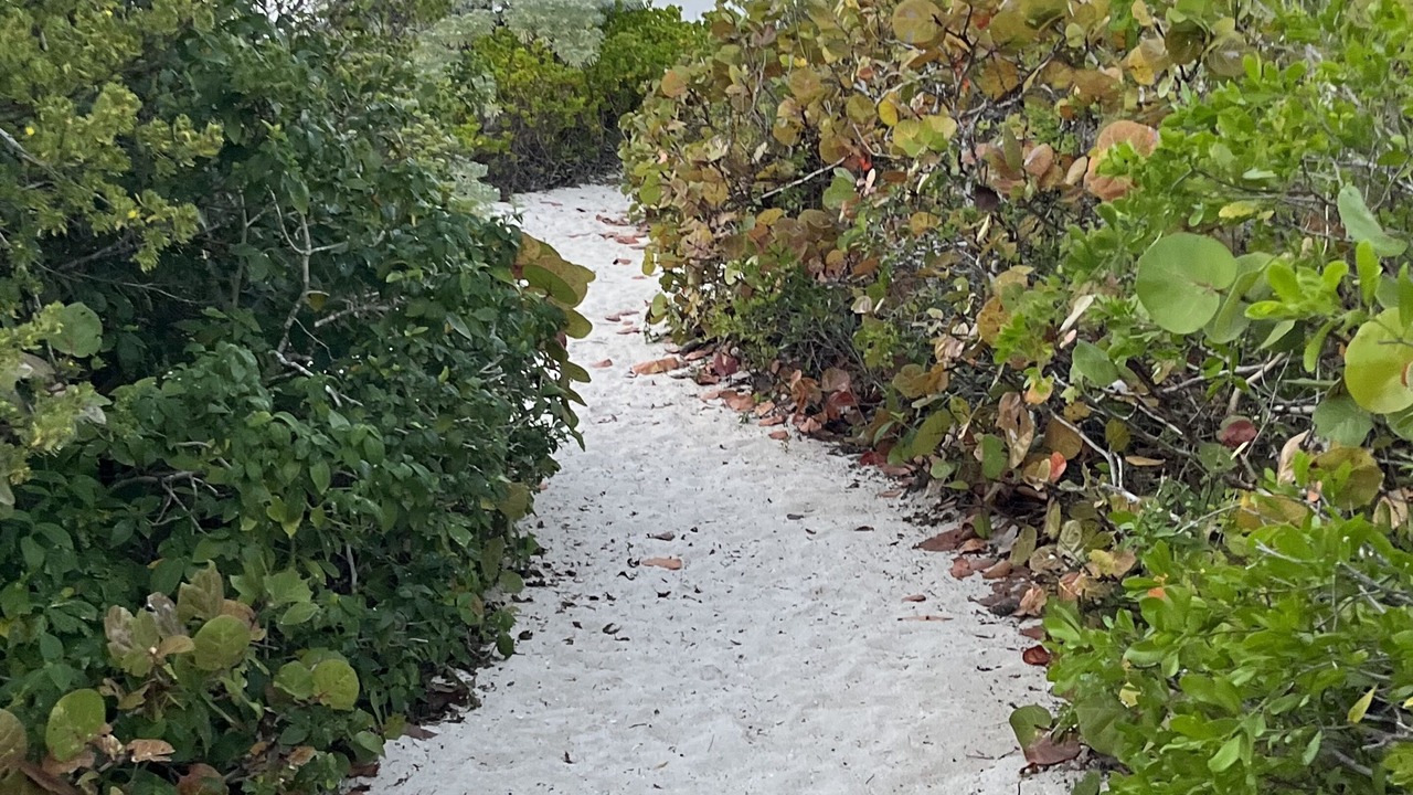 Photo of Outdoor in Miramar