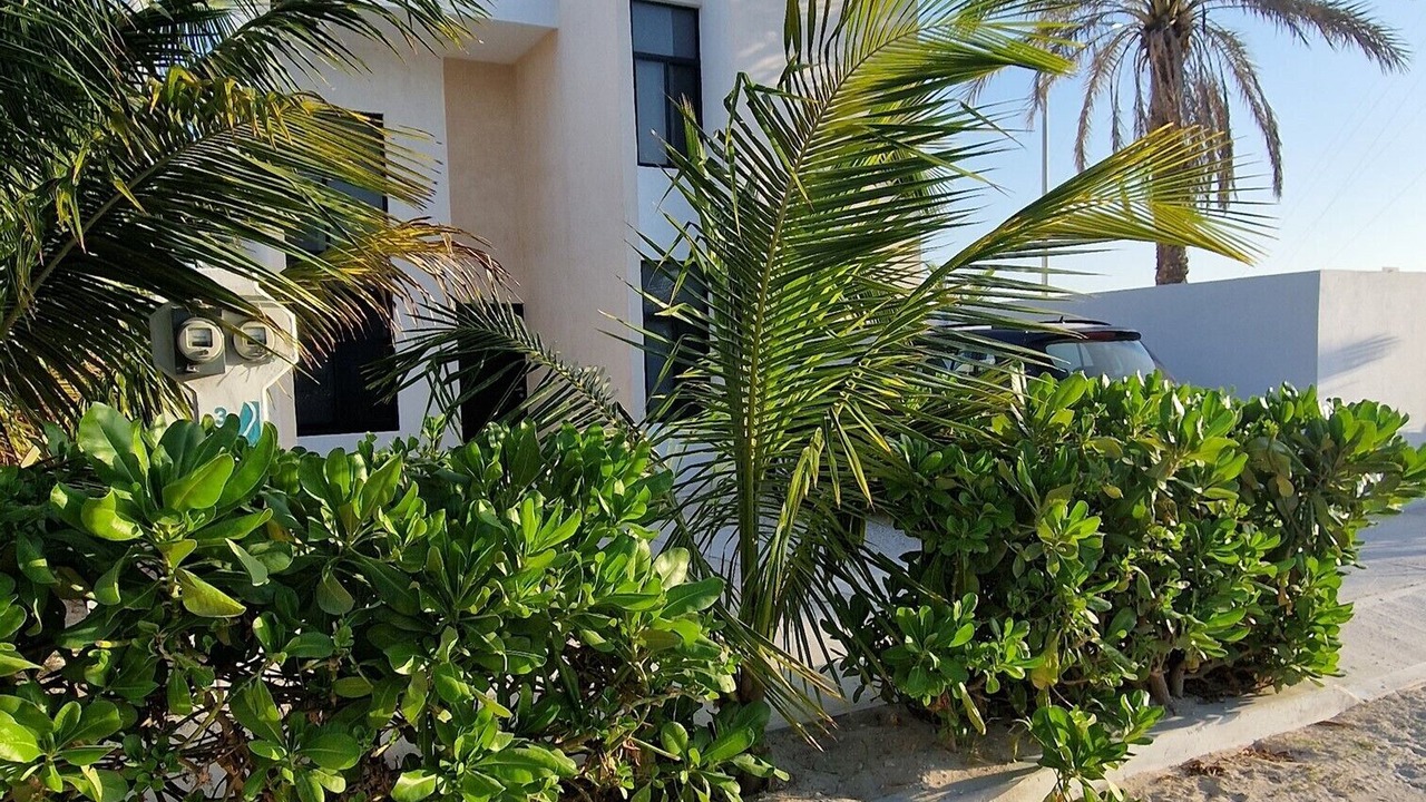 Photo of Outdoor in Puerto Yucalpeten