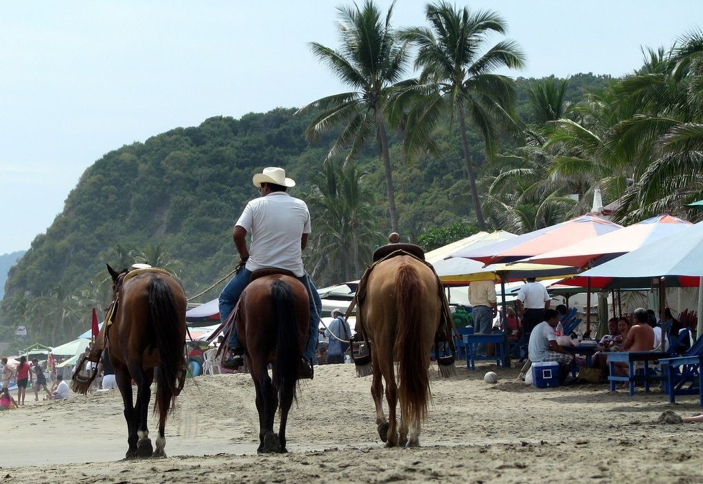Photo of Others in Peninsulas de Santiago