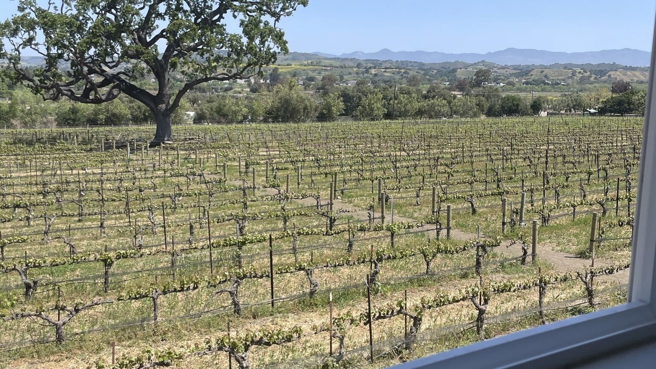 Photo of Others in Santa Barbara County