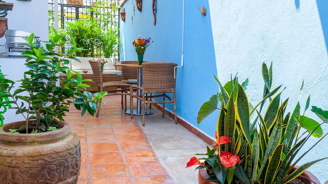 Photo of Others in Downtown Puerto Vallarta