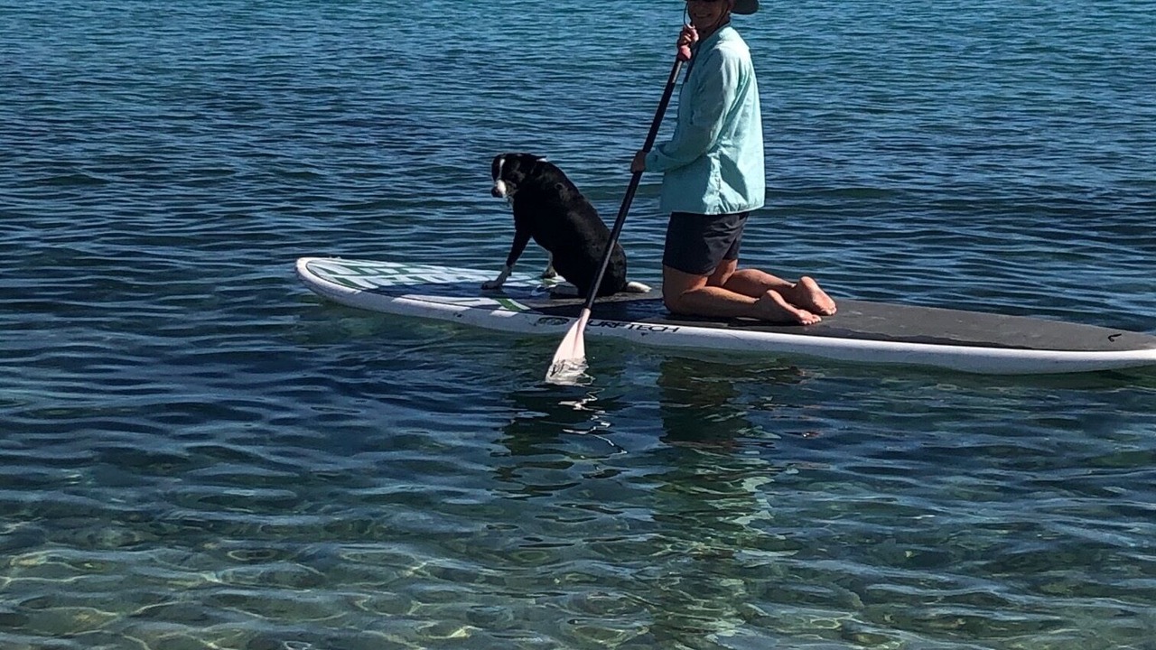 Photo of Others in Mexican Riviera