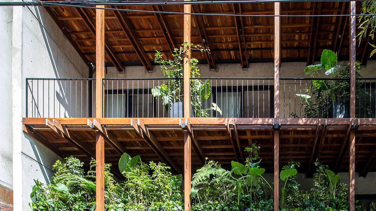 Photo of Outdoor in Miguel Hidalgo