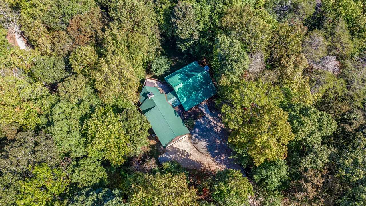 Photo of Outdoor in Ellijay