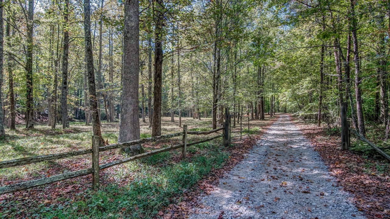 Photo of Others in Ellijay