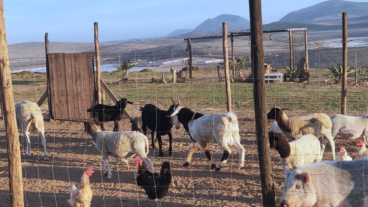 Photo of Outdoor in San Quintin