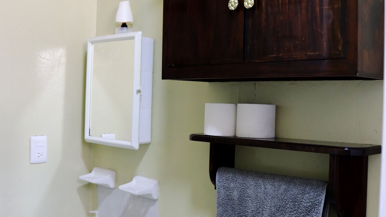 Photo of Bathroom in Tehuacan