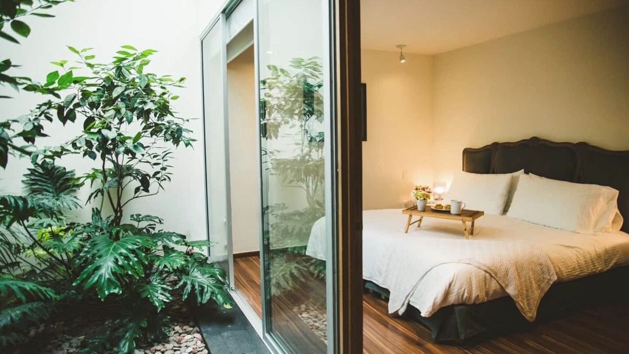 Photo of Bedroom in Polanco
