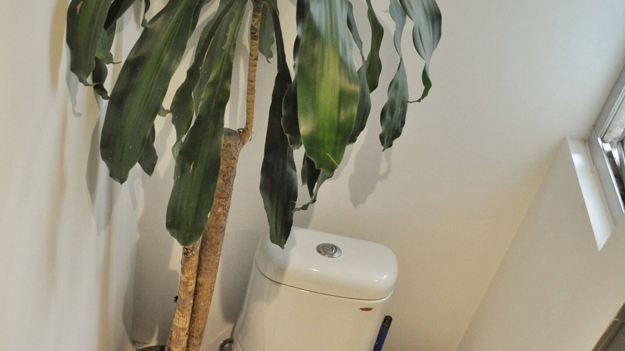 Photo of Bathroom in La Condesa