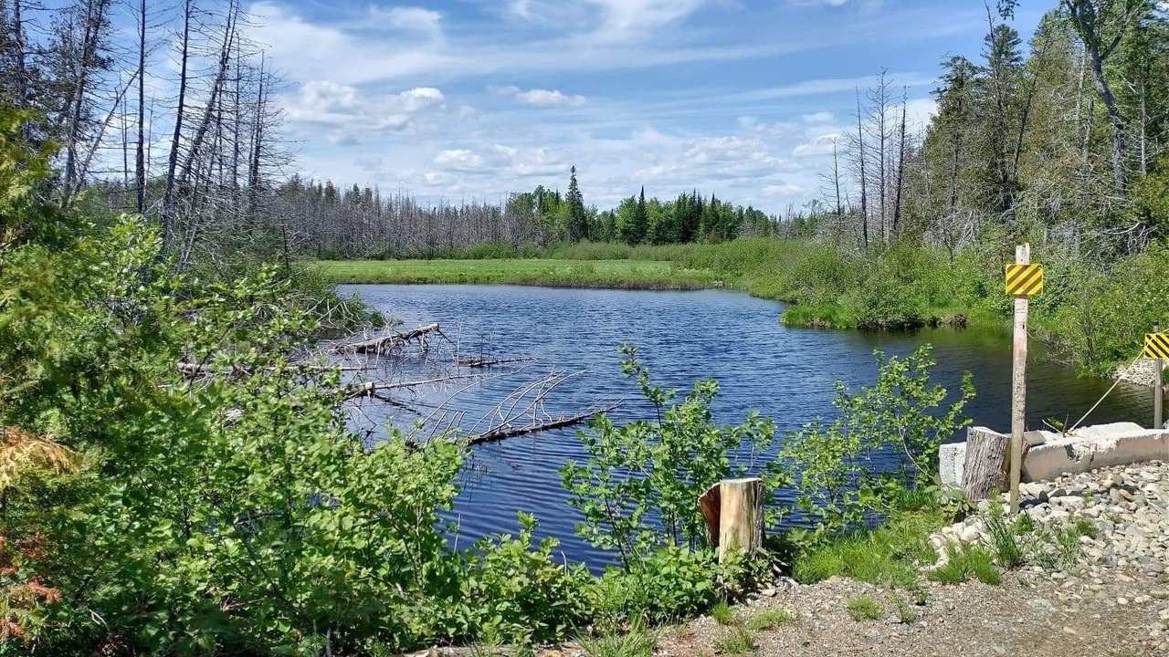 Photo of Outdoor in Sherman Station