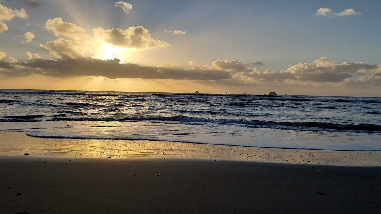 Photo of Others in Port Orford