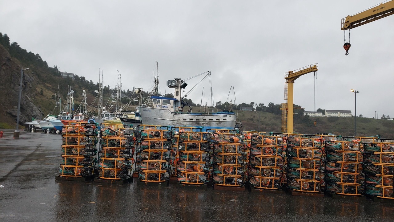 Photo of Others in Port Orford
