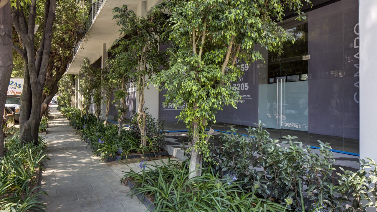 Photo of Outdoor in Benito Juarez