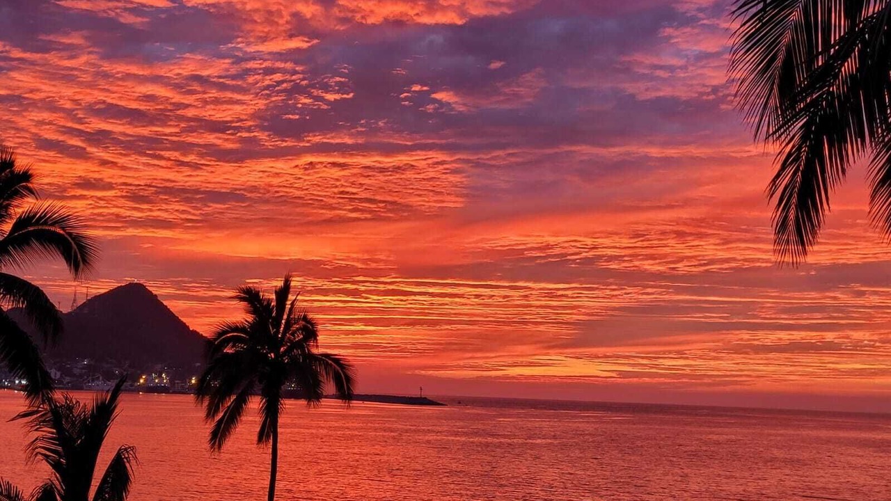Photo of Others in Manzanillo