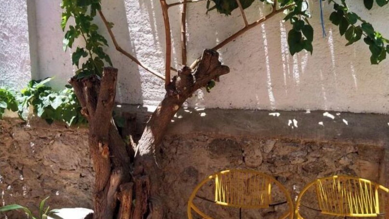 Photo of Patio Balcony in Tulancingo