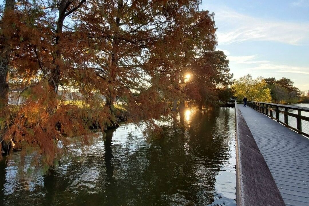 Photo of Others in Nassau Bay