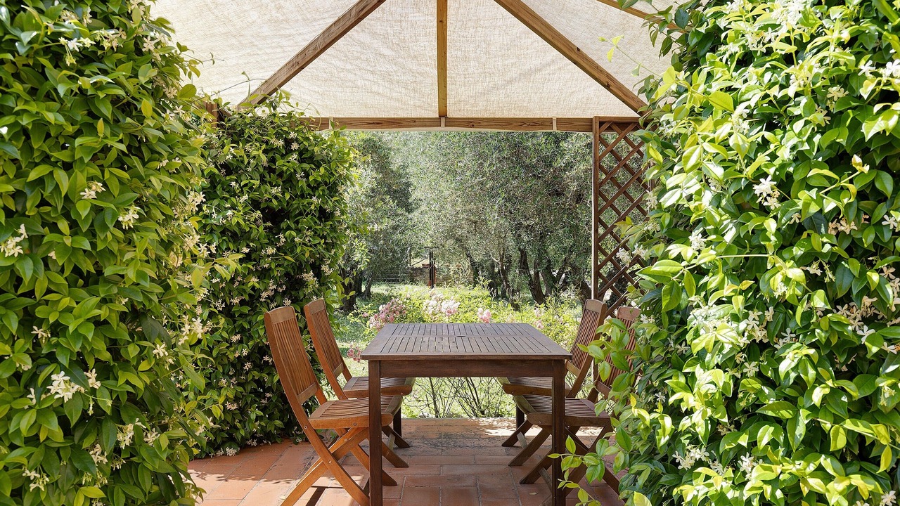 Photo of Outdoor in San Gimignano
