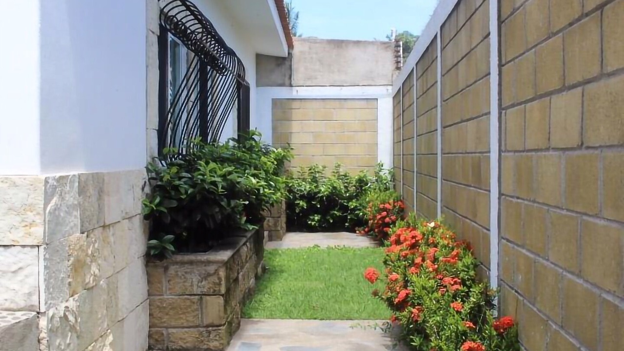 Photo of Outdoor in Lo de Marcos