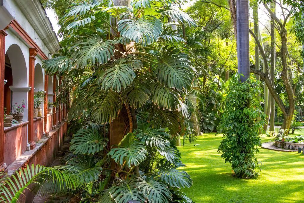 Photo of Outdoor in Yautepec